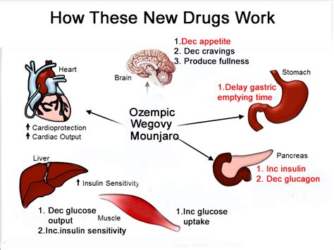 Strategies To Mitigate Muscle Loss While Using Weight Loss Drugs Like Ozempic